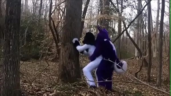 Uusia Fursuit Couple Mating in Woods lämmintä klippiä