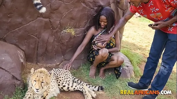 Novi Wild African Car Sex In Safari Park topli posnetki