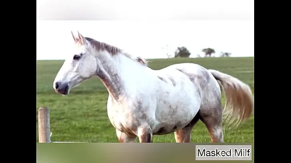 Horny Milf takes giant horse cock dildo compilation | Masked Milf مقاطع دافئة جديدة