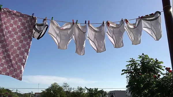 새로운 My briefs drying on the clothesline 따뜻한 클립